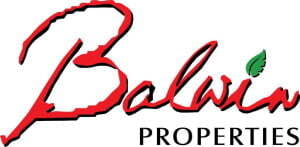 Logo of Balwin Properties, one of Vox's fibre network partners