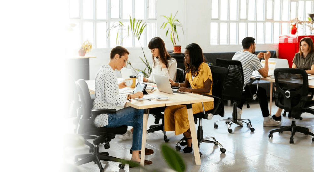 An office full of employees that are working efficiently using their Vox Business fibre internet