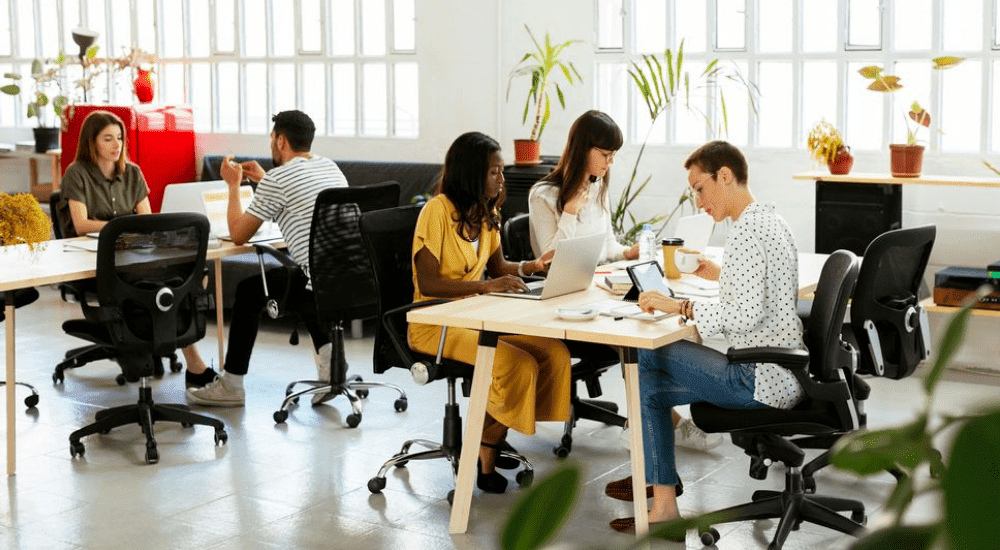 An office full of employees that are working efficiently using their Vox Business fibre internet