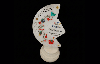 DSL Telecom's Partner of the Year award