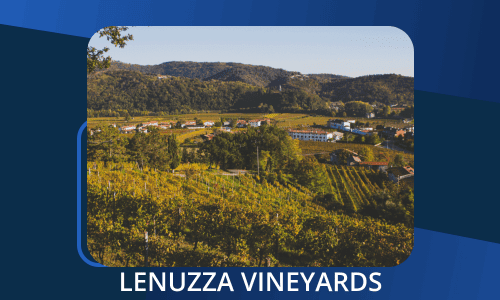 Lenuzza Vineyards - A Zoho CRM, Sites, Forms and Campaigns Implementation client
